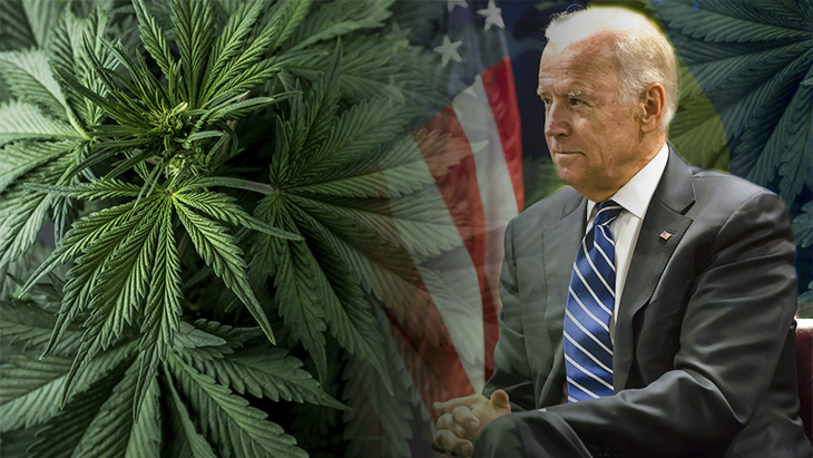 BidenCannabis